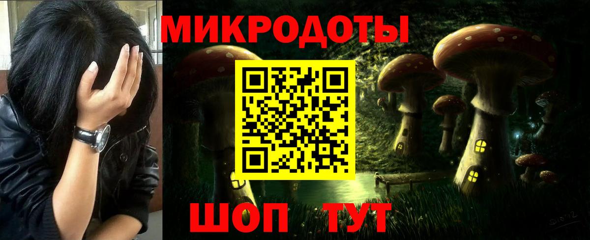 Псилоцибиновые грибы мицелий Полевской