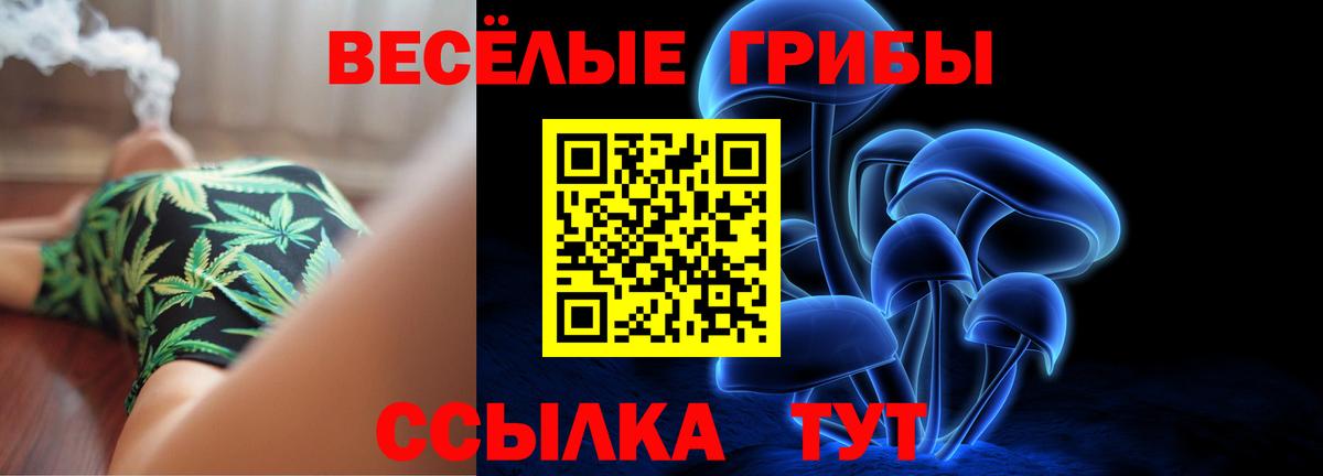 Полевской  как найти закладки  Псилоцибиновые грибы прущие грибы  Вход с VPN  Псилоцибиновые грибы GOLDEN TEACHER 